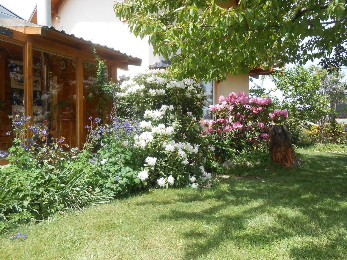 Apartment Montalto Ii